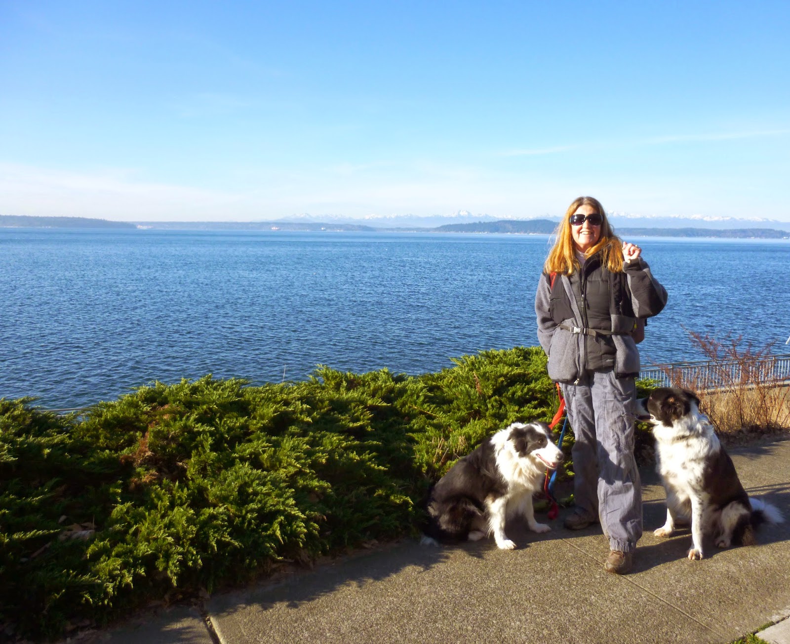 Pacific NW Travels and Tails Starting 2015 with Alki Beach Walk